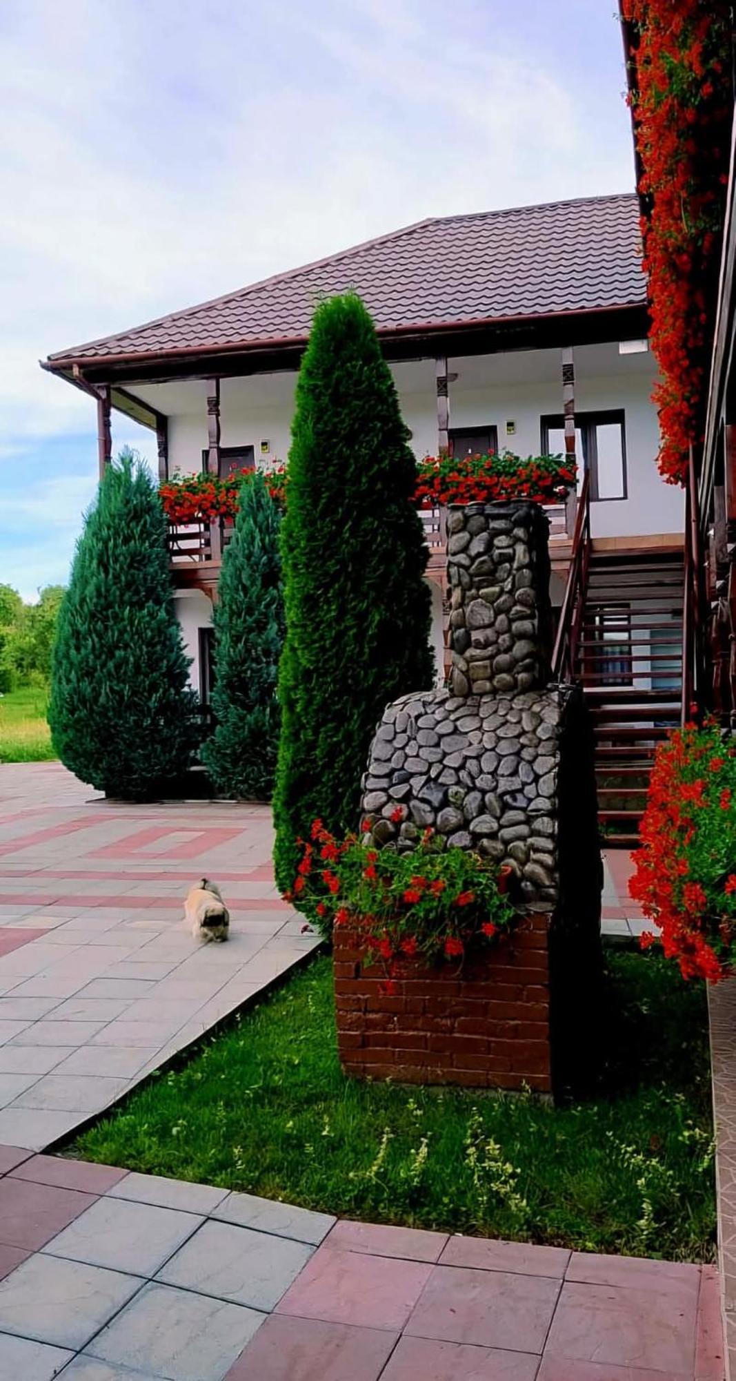 Săpînţa Cris & Mona酒店 外观 照片
