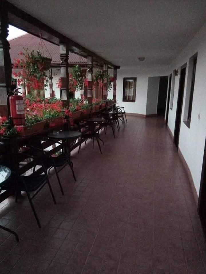 Săpînţa Cris & Mona酒店 外观 照片