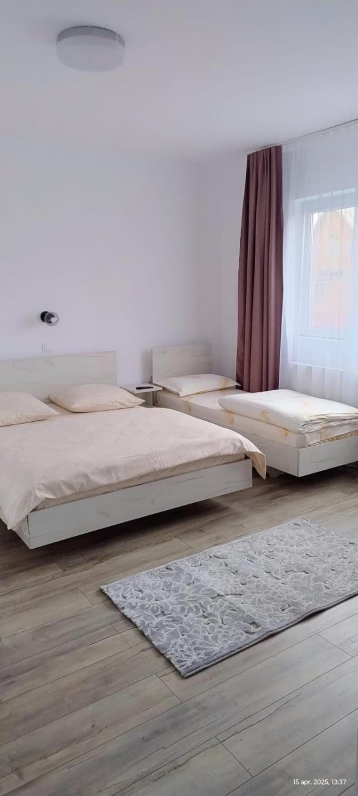 Săpînţa Cris & Mona酒店 外观 照片