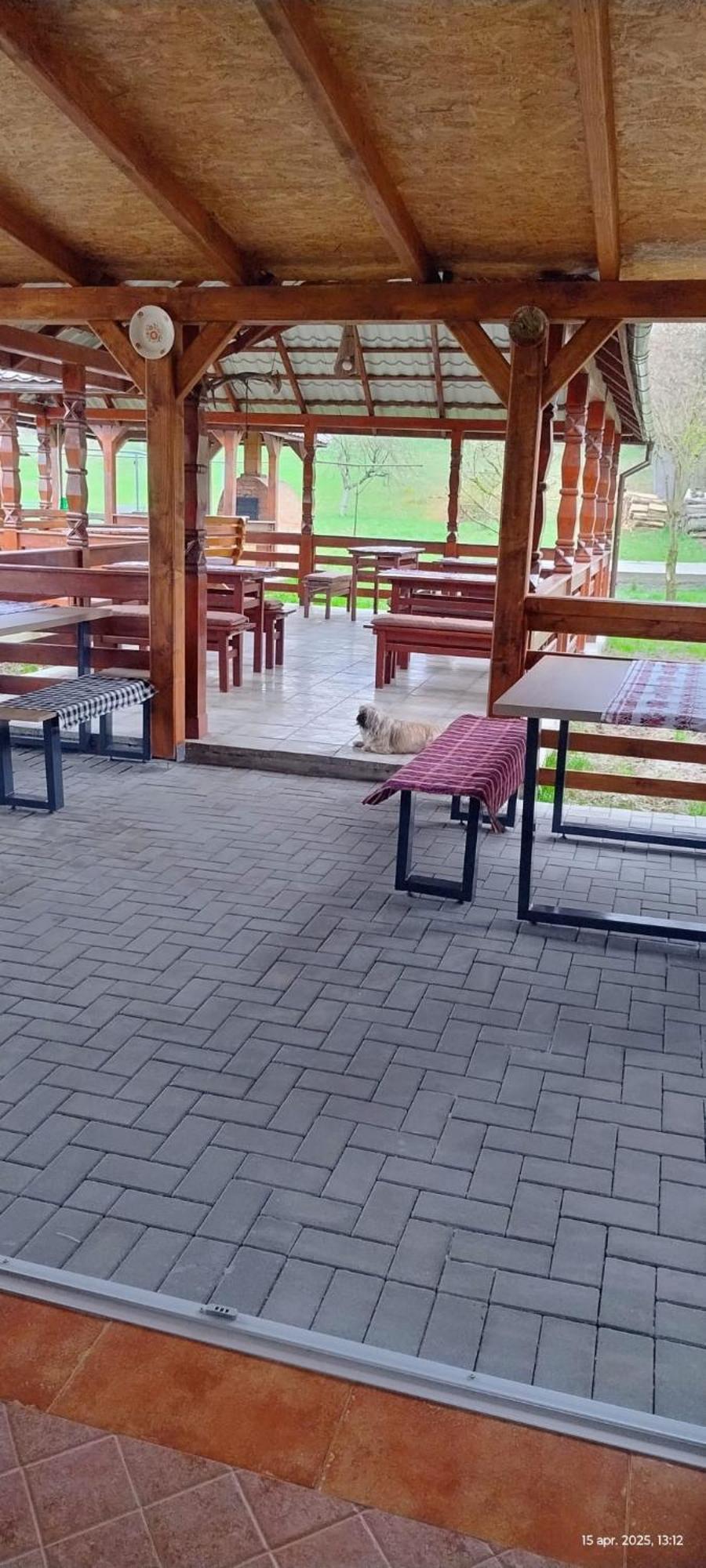 Săpînţa Cris & Mona酒店 外观 照片